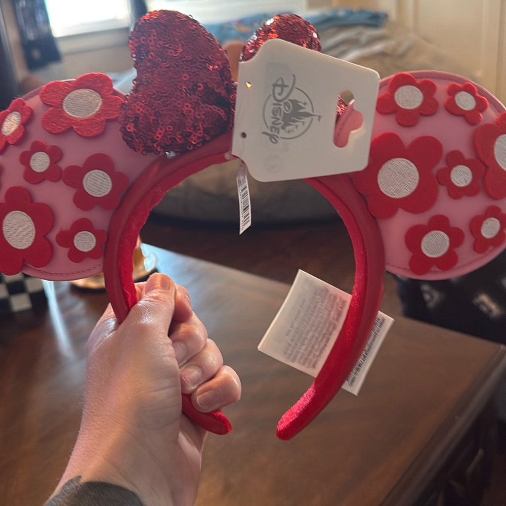 Disney Park ears